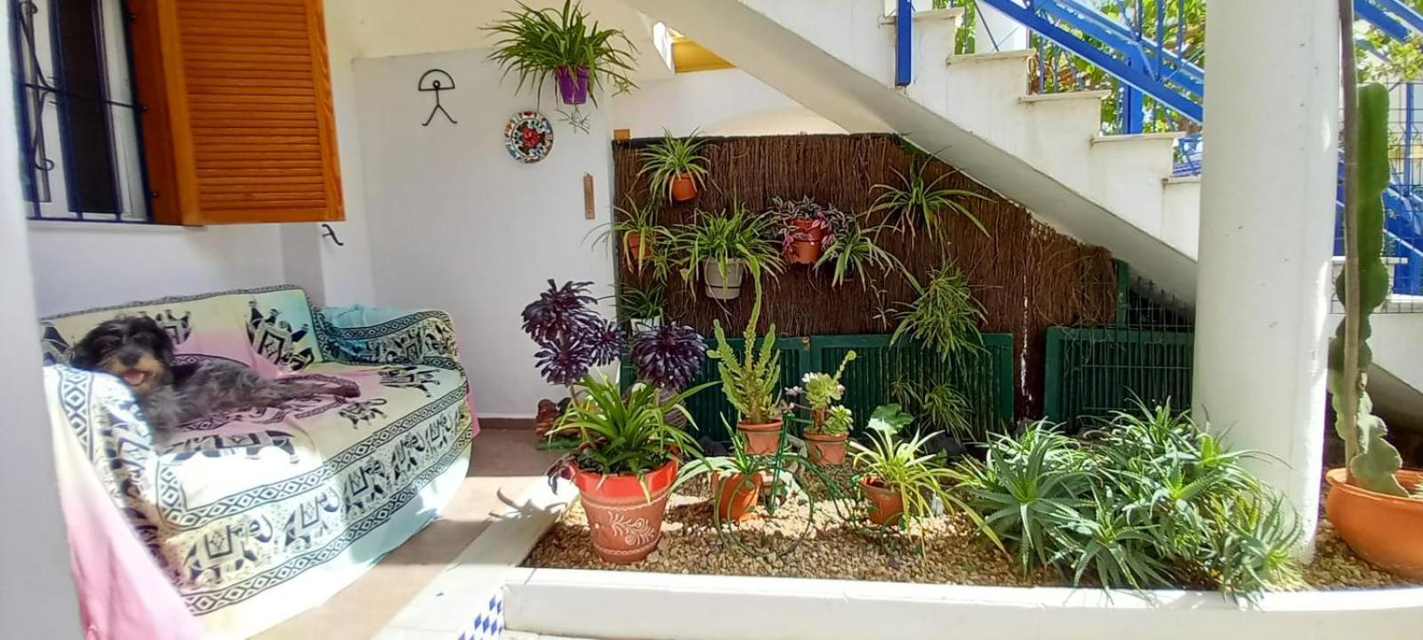 Casa Chiki Apartment Vera Exterior foto
